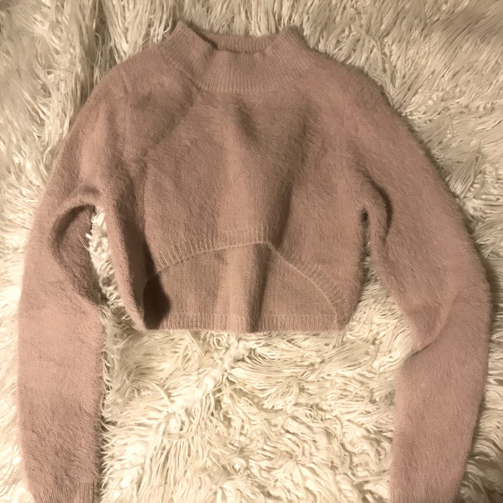 Blush Crop Top Sweater